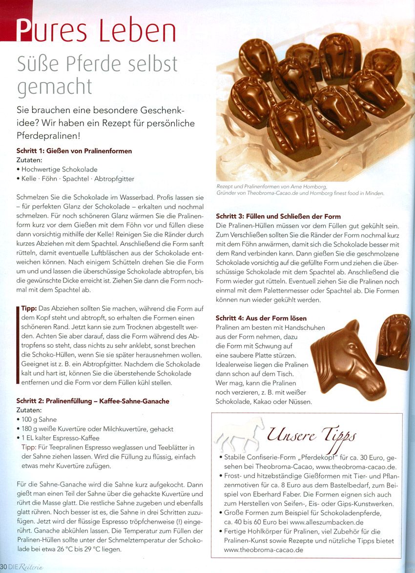 Die Reiterin, Januar 2011