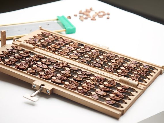 Schnitttest (Foto: Teserba GmbH)