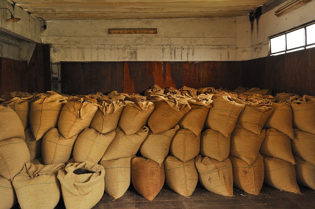 Kakaobohnenlager auf einer Plantage