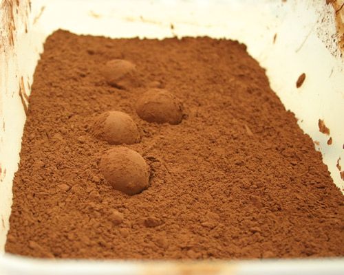 Behälter schütteln um die Trüffel gleichmäßig mit Kakaopulver zu überziehen.