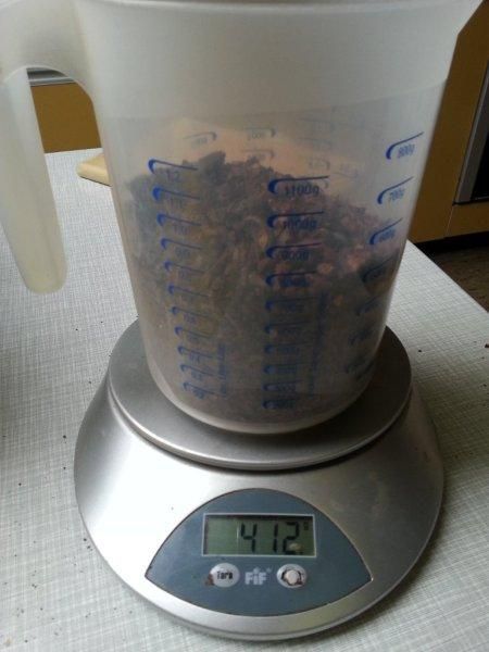 Kakaobohnen im Mixer grob brechen