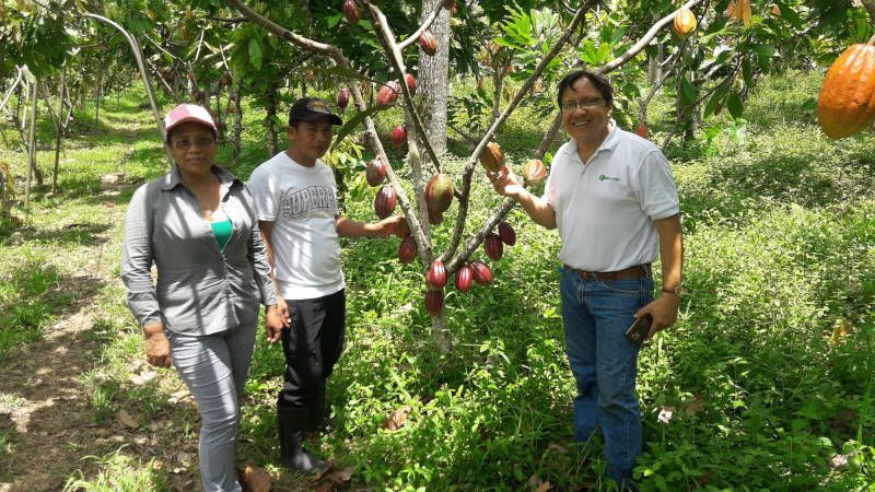 Foto: Von links nach rechts: Cecilia Morales, Fidencio Abrego und Jaime Picado (Auditor bei Bio Latina). Foto: ForestFinance