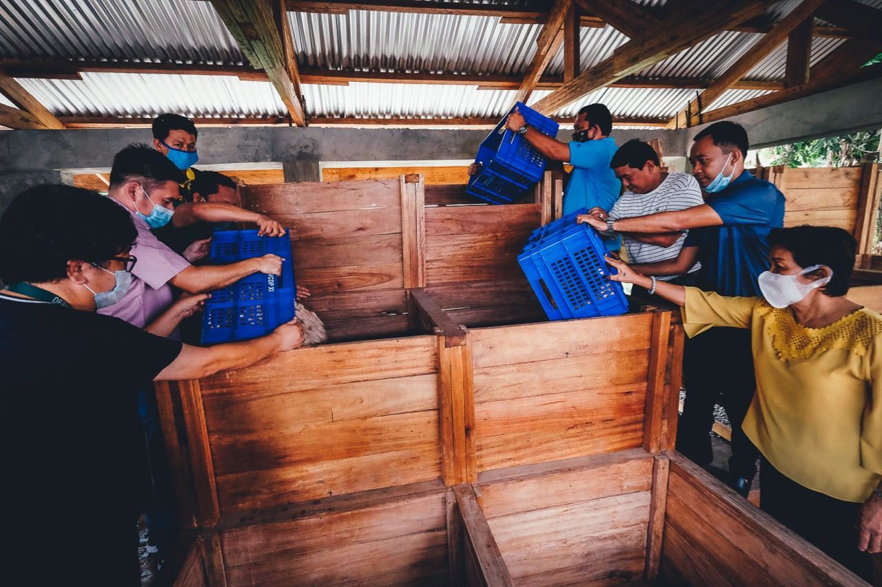 Neue Fermentationsanlage für Kakaobohnen