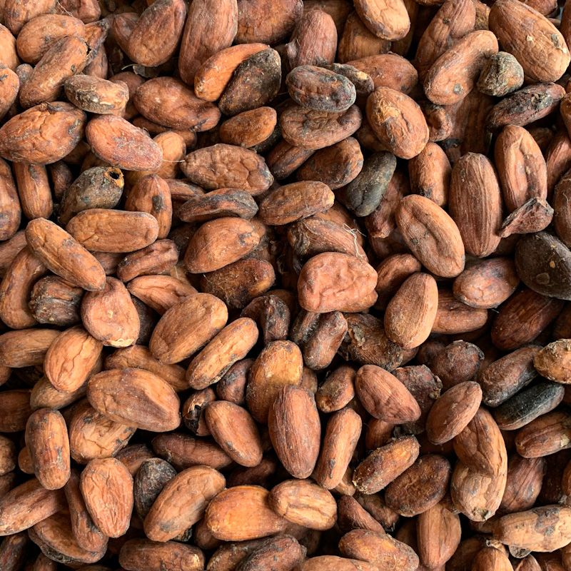 Yaguaraparo Kakaobohnen, Venezuela, Rohkakao, low cadmium