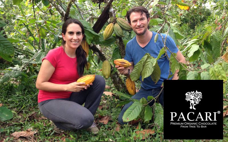 Paccari Gründer auf einer Kakaoplantage in Ecuador. Paccari Gründer auf einer Kakaoplantage in Ecuador.