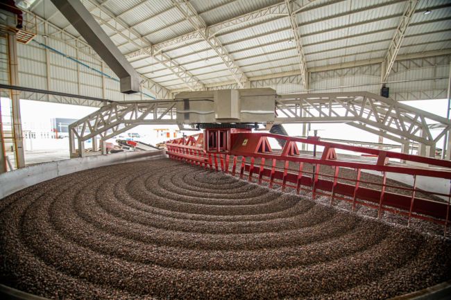 Kakaobohnen Aufbereitung in Ecuador Kakaobohnen Aufbereitung in Ecuador