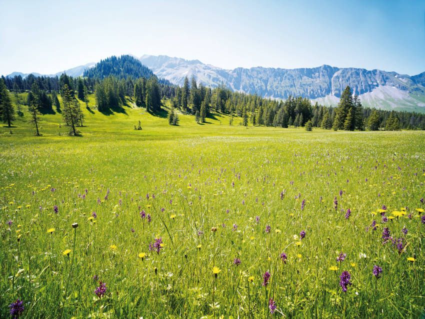 Panoramablick über einen Teil der Biosphäre Entlebuch Panoramablick über einen Teil der Biosphäre Entlebuch