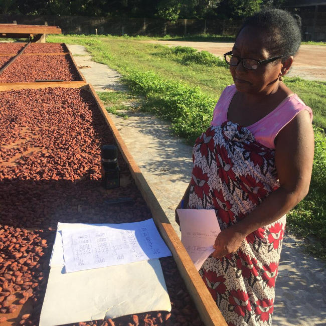 Kakaotrocknung und Qualitätskontrolle bei Chocolat Madagascar