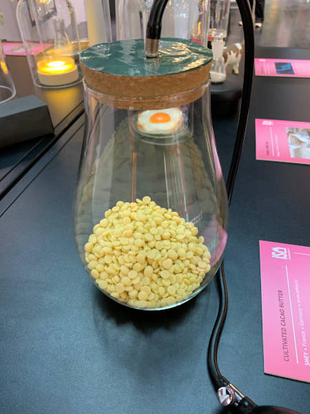 Mit Hilfe von Hefe erzeugte Kakaobutter von Smey.