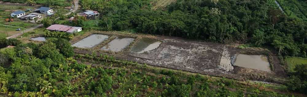 Hortus startet Crowdfunding für Kakaogarten in Surinam