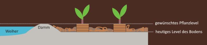 Notwendige Erhöhung des Pflanzlevels gegen Staunässe