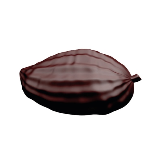 [170546] Kakaofrucht / Kakaoschote 16 x 8,5cm Schokoladenform 10841 Valrhona