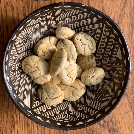 [macambo-theobroma-bicolor-jaguar-kakao] Macambo (Theobroma Bicolor)