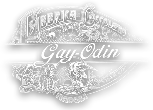 Gay Odin Srl