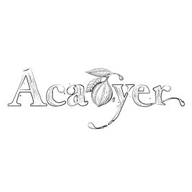 Acaoyer